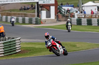 Vintage-motorcycle-club;eventdigitalimages;mallory-park;mallory-park-trackday-photographs;no-limits-trackdays;peter-wileman-photography;trackday-digital-images;trackday-photos;vmcc-festival-1000-bikes-photographs